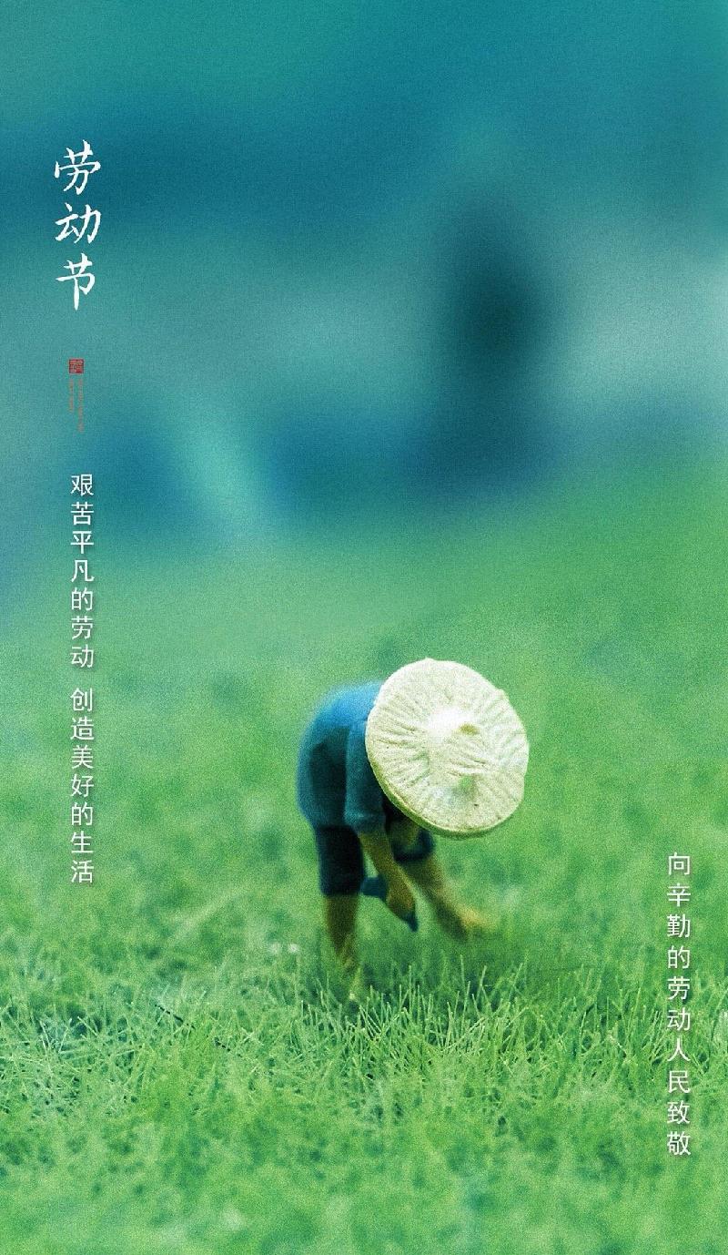 律句-“五一”感赋 文‖寸草轩屋主（图4）