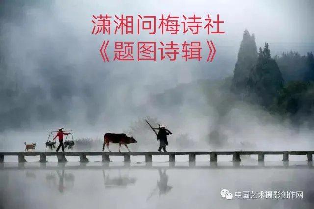 【潇湘文学社】潇湘问梅诗社《题图》（图13）