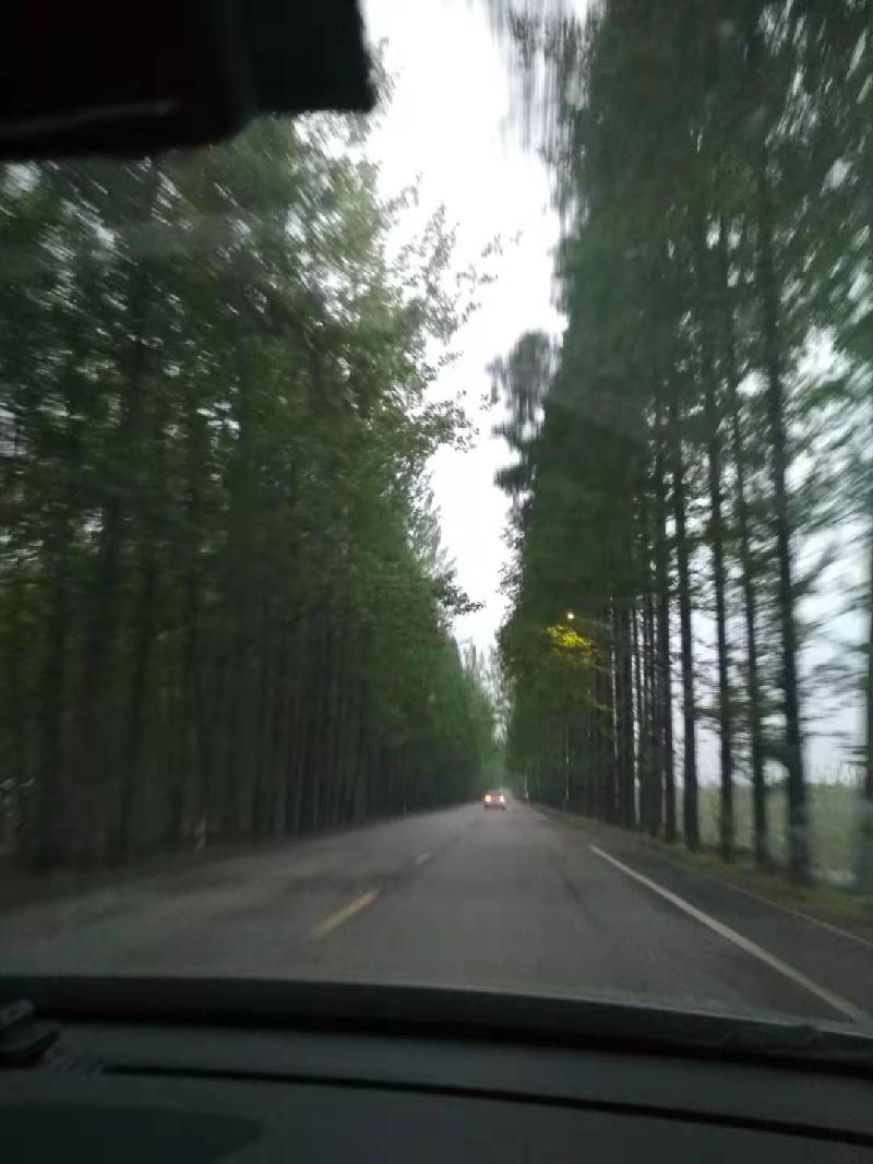 许鹏随记388:人在旅途~醉美苏州(图12)