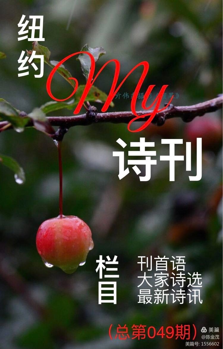 海内外诗人(组诗)冰心*幽蓝【冰心文化传媒】(图2)