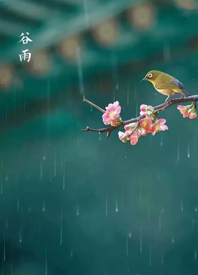 【潇湘文学社】潇湘如兰诗社《谷雨》(图8)