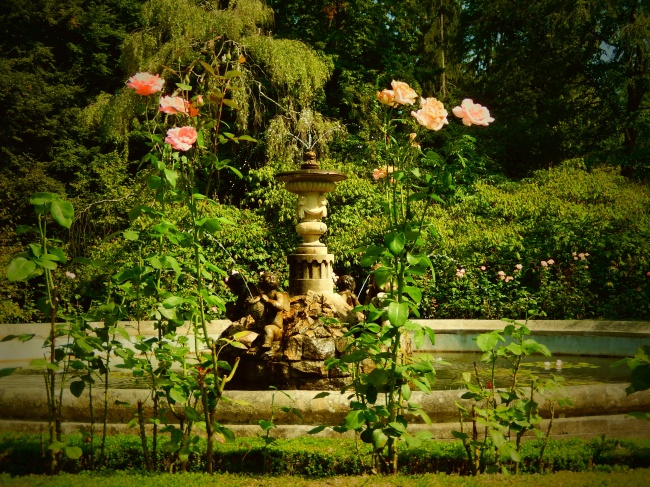 fpic950.jpg