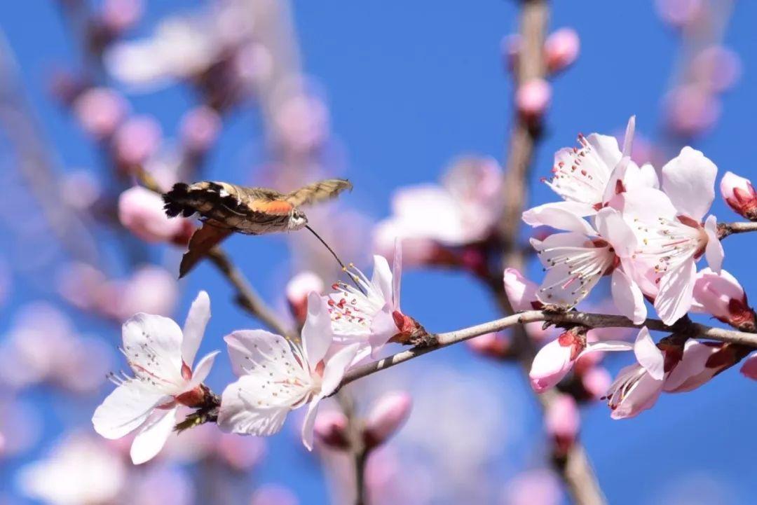 src=http_%2F%2F5b0988e595225.cdn.sohucs.com%2Fimages%2F20190315%2F629b126a0b424e26ab1df6a1a80f9c57.jpeg&refer=http_%2F%2F5b0988e595225.cdn.sohucs.jpg