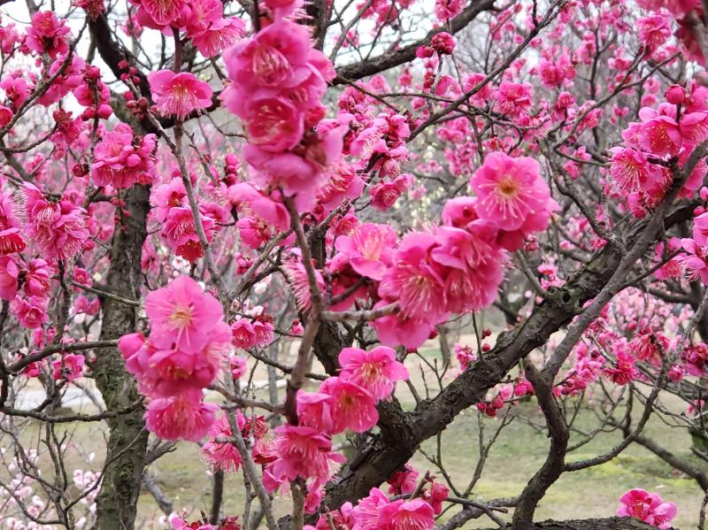 伴随终生的怀念(图11)