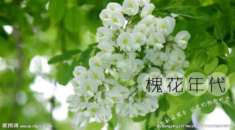 《散文诗》清风明月入怀抱：作者／何俊峰（陕西西安）（图9）