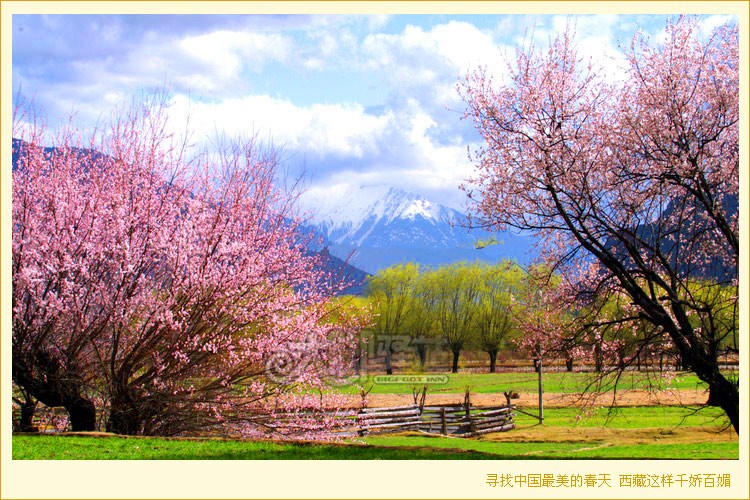 《湖南诗人田雪阳》诗文(图9)
