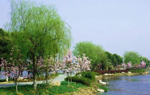 【军人风采】解寒//七律•李太忠将军给80岁以上父老发红包（图7）