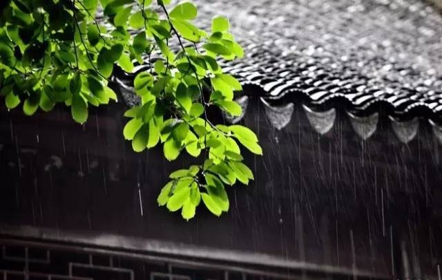 虞美人.故乡情 文／素笔兰心