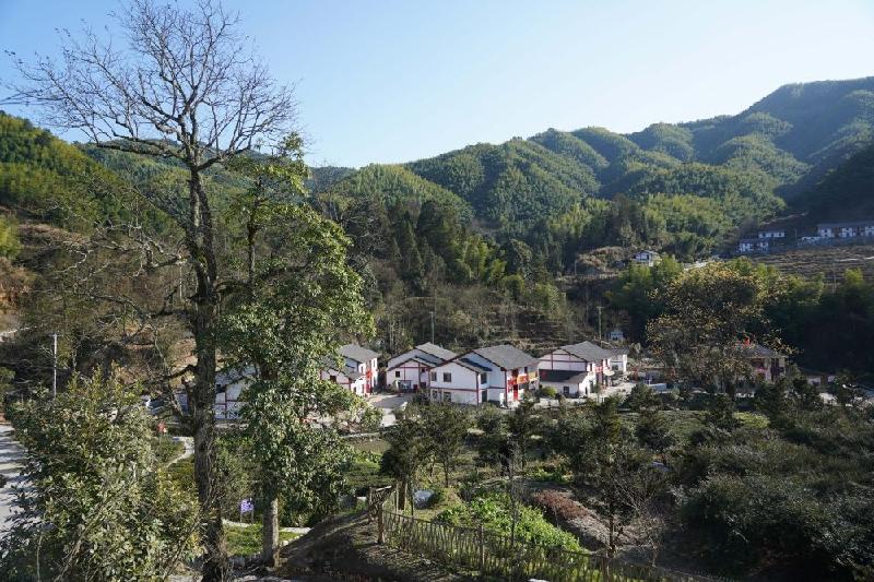 顶级团队精彩诗评(图7)