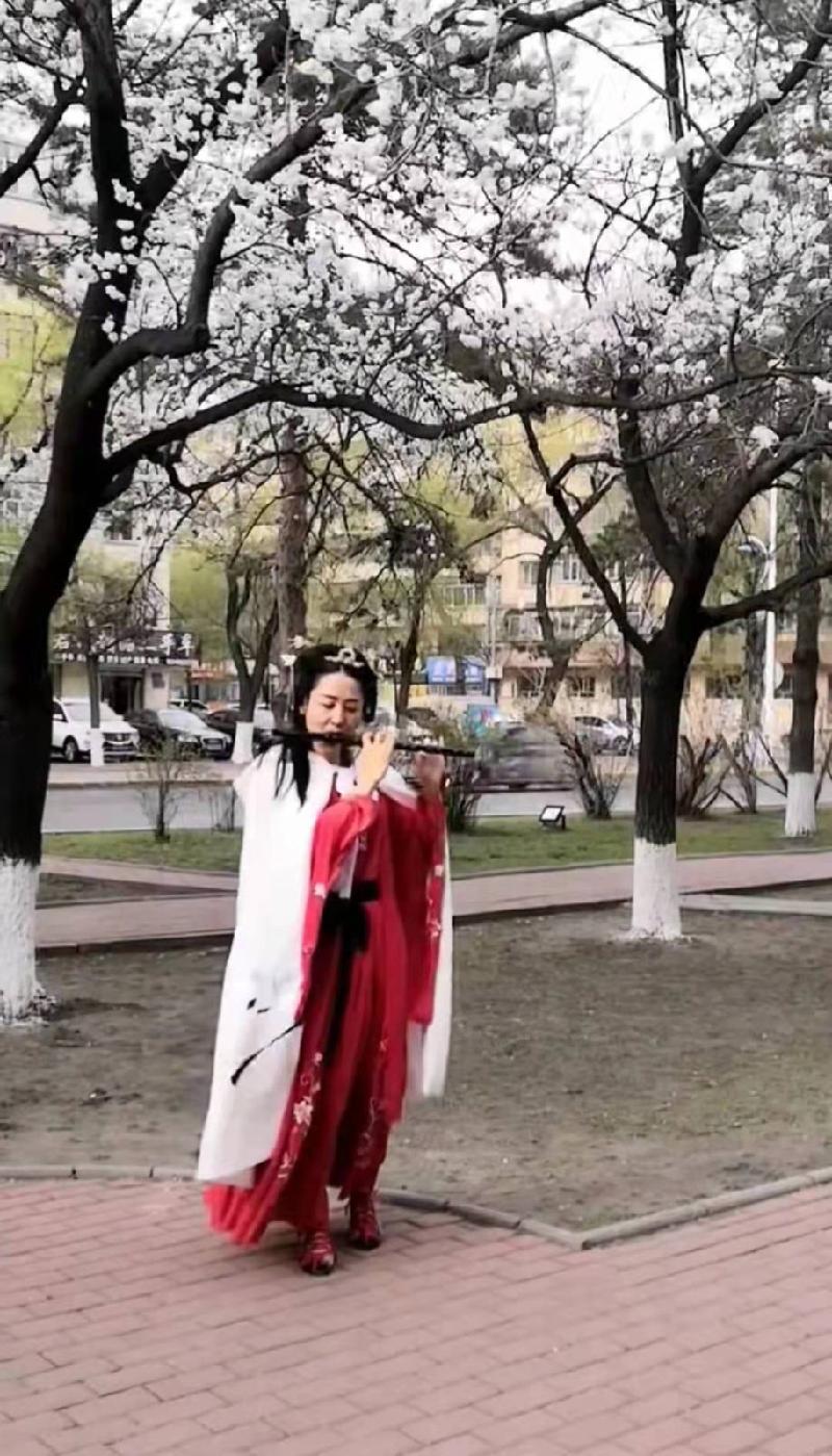 七绝四首 作者:王新华(一片云)制作 冰心【冰心文化传媒】(图5)
