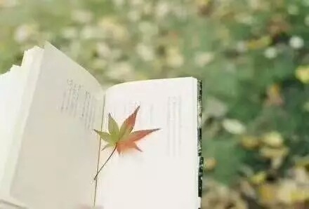 陈军〔江西〕诗词专辑(一)制作 冰心【冰心文化传媒】(图12)