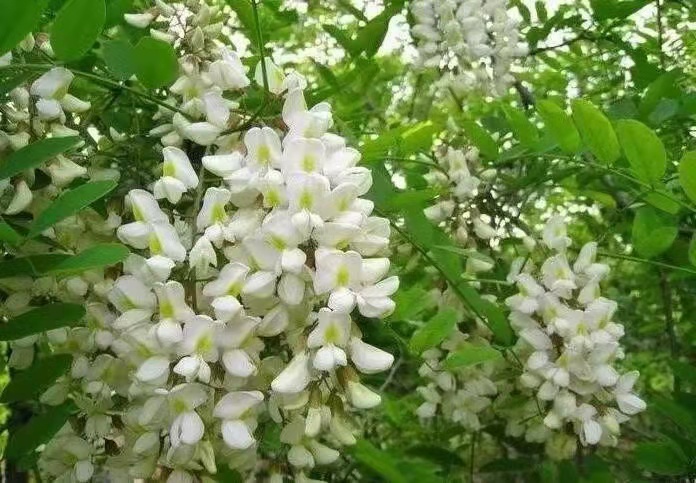 抱怨和贬低是最差的人品 文‖蓝田玉(图10)