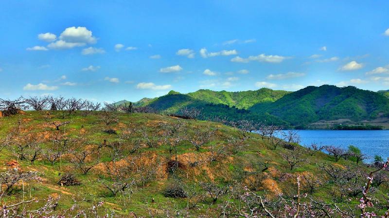 青岛聆泉诗社010期｜诗词精选169首｜【摄影：吴文山】（图7）