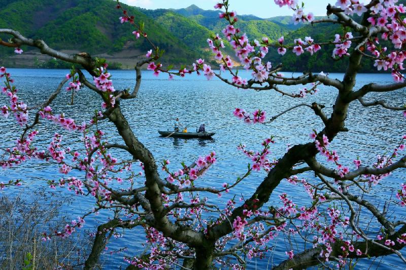 青岛聆泉诗社010期｜诗词精选169首｜【摄影：吴文山】（图20）