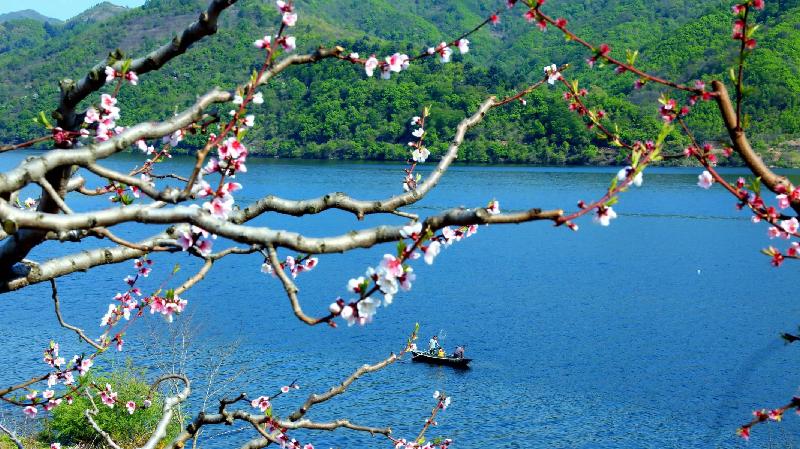 青岛聆泉诗社010期｜诗词精选169首｜【摄影：吴文山】（图29）