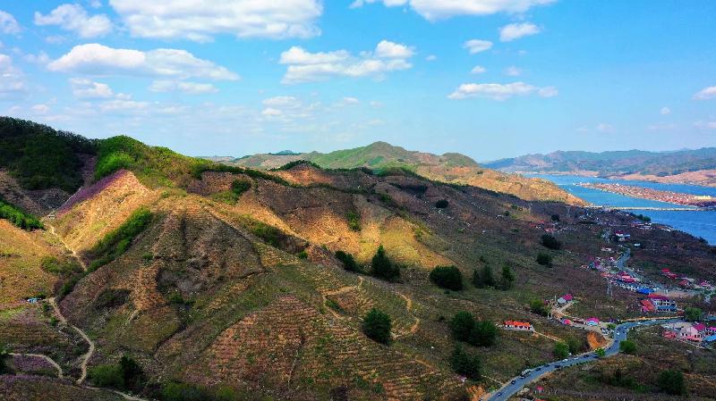 青岛聆泉诗社010期｜诗词精选169首｜【摄影：吴文山】（图34）