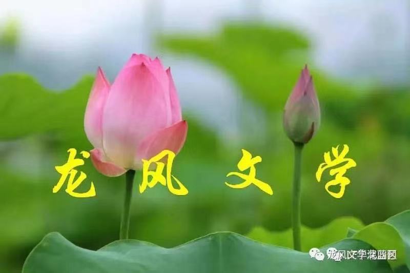寰俊鍥剧墖_20210403152507.jpg