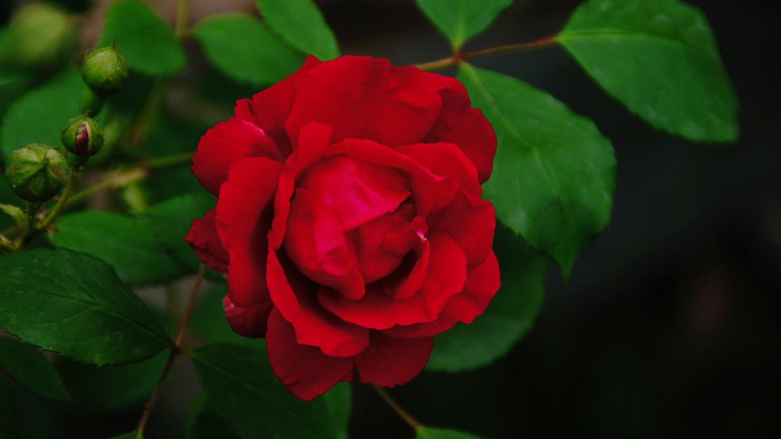 src=http_%2F%2Fimage.shumiao.net%2Fuploads%2F20190222%2F19%2F1550835904-wheUpkJFld.jpg&refer=http_%2F%2Fimage.shumiao.jpg