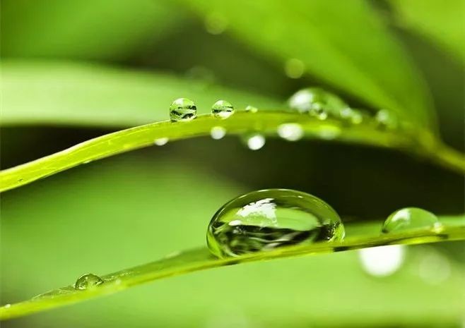 诗天下 | 王香谷〔澳大利亚〕辛丑春日诗词辑 【冰心文化传媒】(图22)