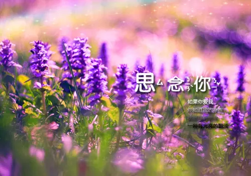 杨骄阳（山东）老师心语佳作推荐 五月伤心泪 精英主播 书语 春辉若诗墨飘香第141期