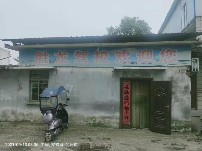 平安驾驶啸胜龙一一记胜龙驾校三教练陈祥、李流柱、钱美芬（图17）