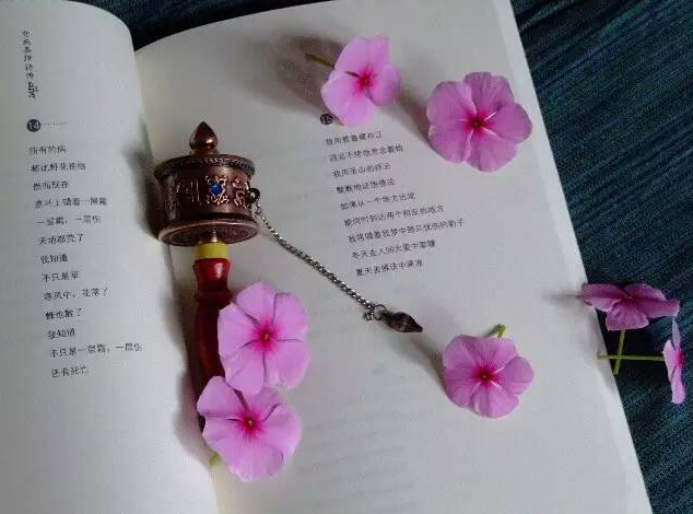 【忘情书】（图2）