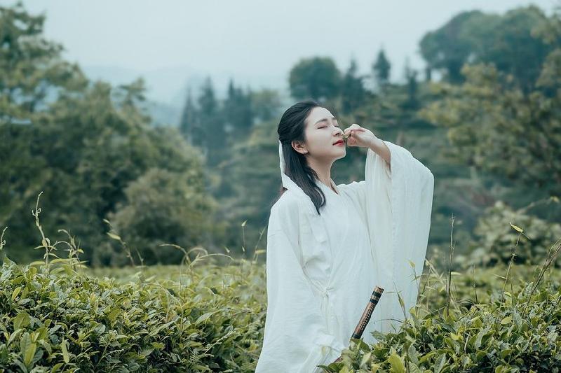 如梦令•春夏之交 文/修竹晨影（图2）