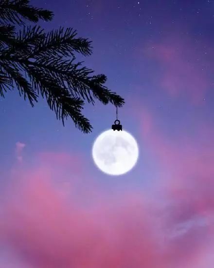 灵犀:风吹过的夏天（图5）