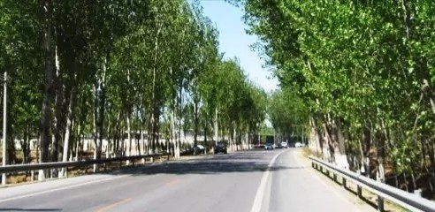 [桃源馨声]行吟巴蜀|作者:记得你的好|主播:涛声依旧[总938期]（图8）