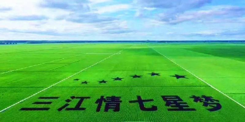 【经典推出】高万福//赞泉咚、福斌、浓情黑土｛三首｝（图13）