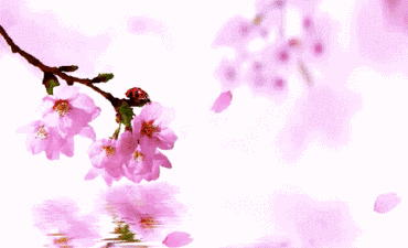 һ: ά  žʫˡר