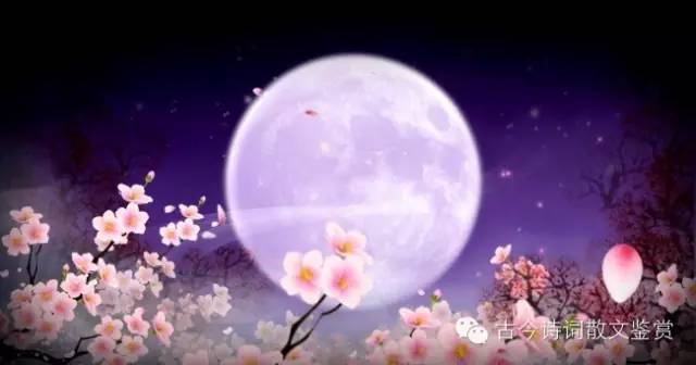《江南诗絮天天分享》0231