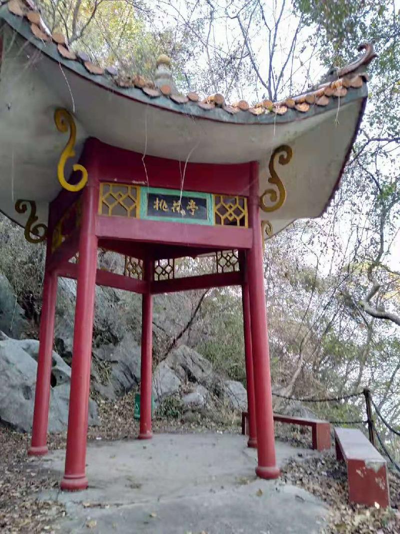 《诗风掀起长江浪; 雅韵增添西塞春》文/陈少书——湖北诗人(图17)