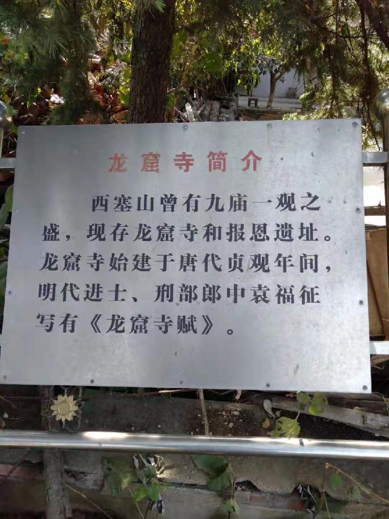《诗风掀起长江浪; 雅韵增添西塞春》文/陈少书——湖北诗人(图12)