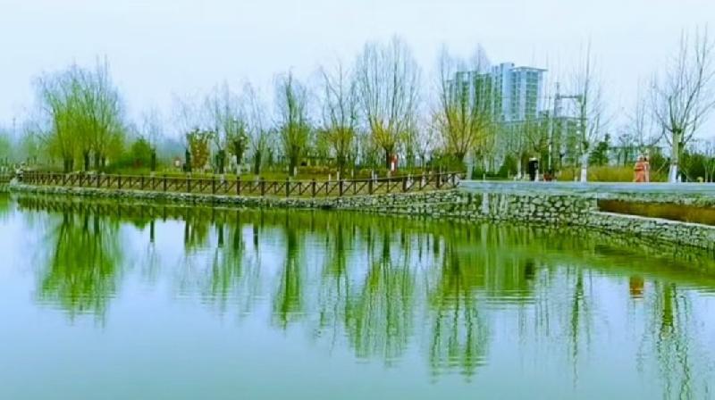 春天就像一阵风-京津沪头条 作者：张德群（图7）