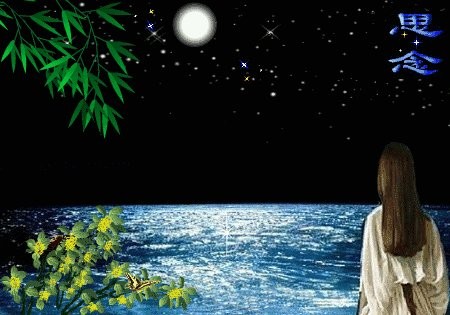 《有你我不再孤独》文/雁过留声〔江苏〕制作 冰心〔甘肃〕【冰心文化传媒】(图9)