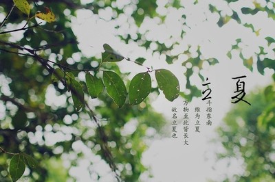 【潇湘文学社】潇湘问梅诗社《立夏》(图8)