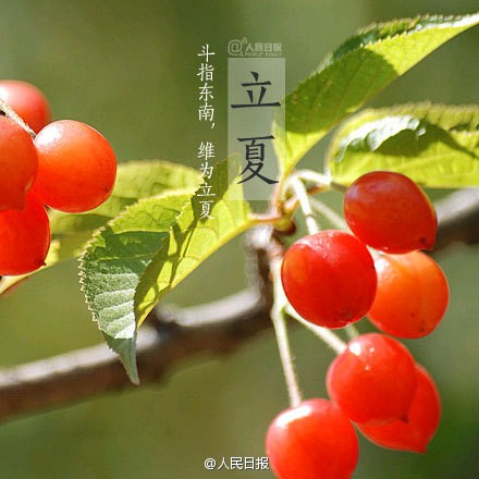 【潇湘文学社】潇湘问梅诗社《立夏》(图10)