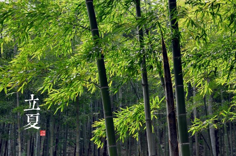 【潇湘文学社】潇湘问梅诗社《立夏》(图17)