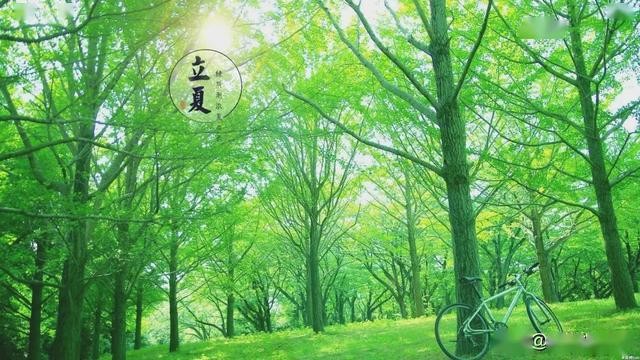 【潇湘文学社】潇湘问梅诗社《立夏》(图27)