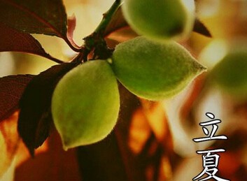 【潇湘文学社】潇湘问梅诗社《立夏》(图28)