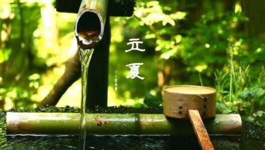 【潇湘文学社】潇湘问梅诗社《立夏》(图25)