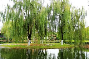 《夏 天 来 了》 文/李加宝（图2）