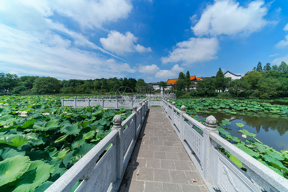 闻立玮诗词选(图3)