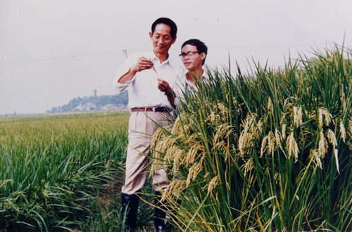 【东北精华特刊】缅怀中华拓荒人“杂交水稻之父”共和国勋章获得者”袁隆平{全国诗人作品展}(图5)