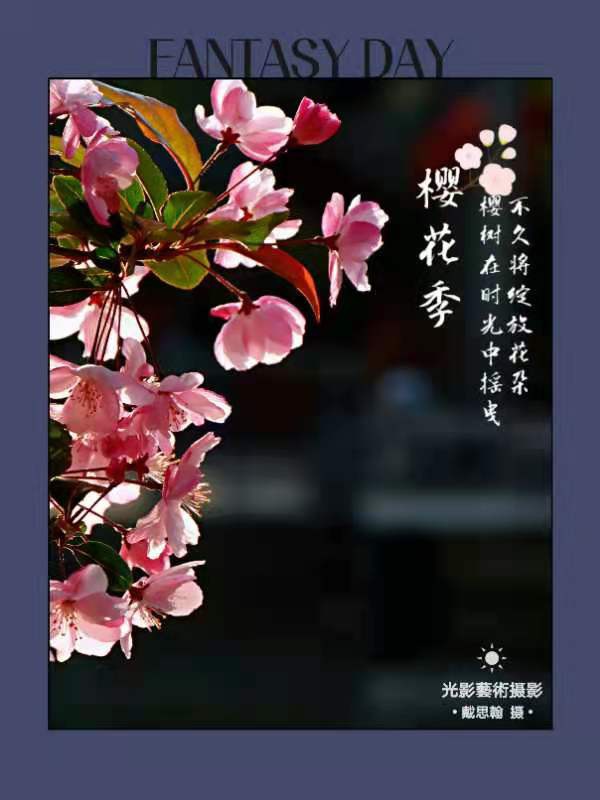 荐赏著名书画家成吉思翰老师精彩绝伦摄影作品｜海外头条（图9）