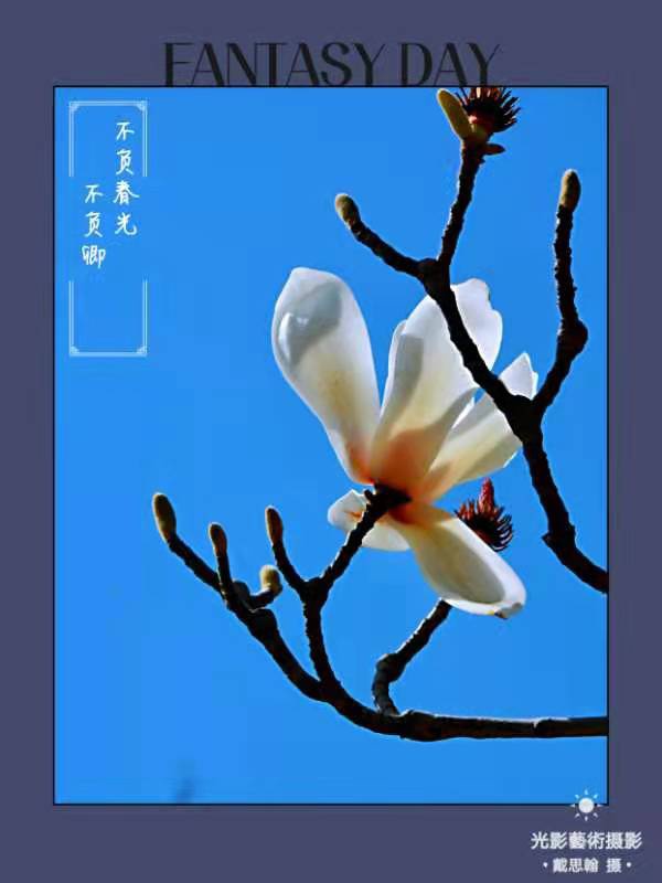 荐赏著名书画家成吉思翰老师精彩绝伦摄影作品｜海外头条（图4）