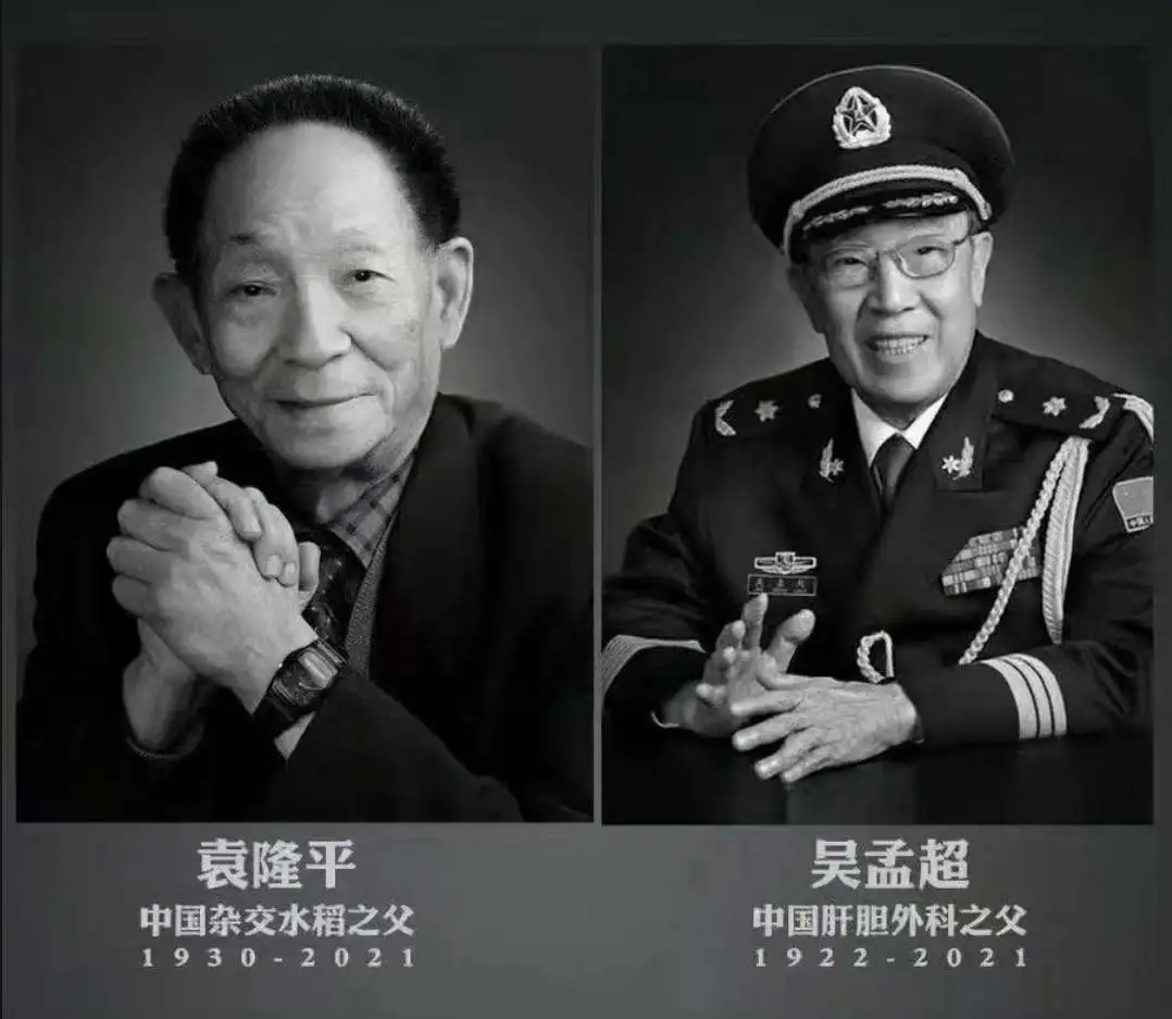 【潇湘文学社】潇湘陶菊诗社《悼双星》(图9)