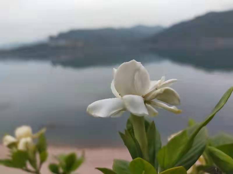 画堂春.初夏 （外诗一首）丨文／黄发滨（图2）