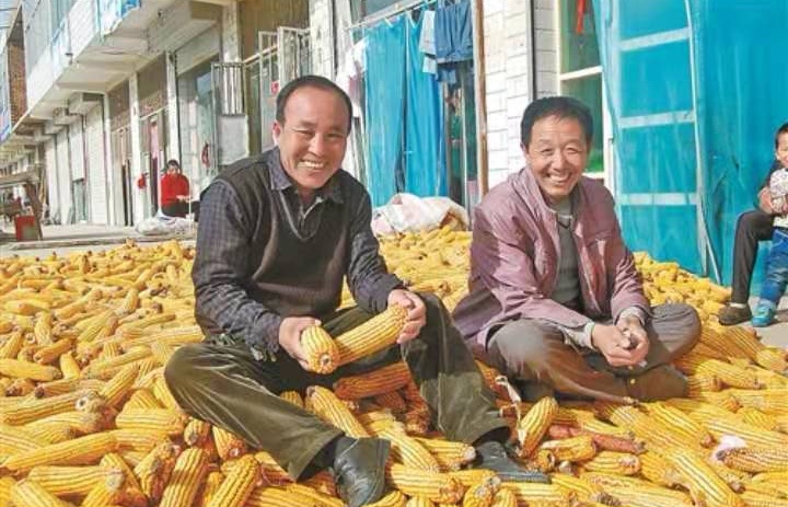 脱贫致富奔小康 文‖刘绪忱（图14）